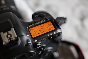 Canon EOS 7D Mark II + akutald (8 foto / 10)