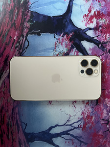 iPhone 12 Pro 256GB (3 foto / 4)