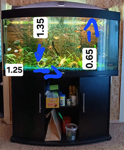 Akvaarium 250 liitrit (1 foto / 2)