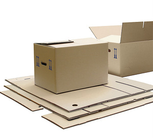 Lainepapp, kastid ja karbid