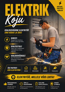 Professionaalne elektrik (1 foto / 3)