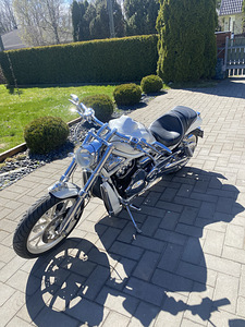 Harley V ROD 2003 in (5 foto / 5)