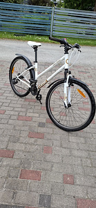 Classic Lady Sport 20 (1 foto / 2)