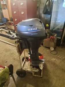 YAMAHA F20,2007A,L-JALG (4 foto / 6)