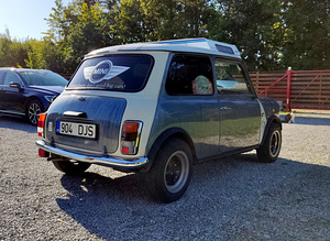 Классический Mini 1000 (3 фото из 6)