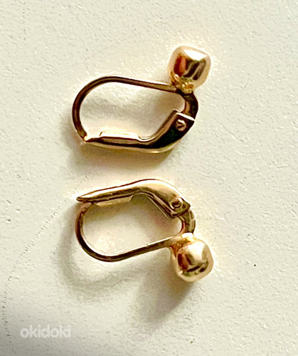 Kuldsed kõrvarõngad (foto #2)