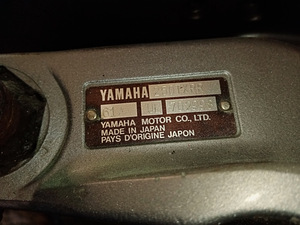 PAADIMOOTOR YAMAHA F250 (4 foto / 5)