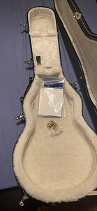 Gibson les paul (6 фото из 6)