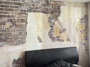 Seina dekoor tellise all , kivi. Loft võimalus (8 foto / 10)