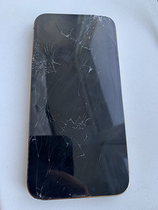 iPhone 13 pro max varuosad (2 foto / 3)