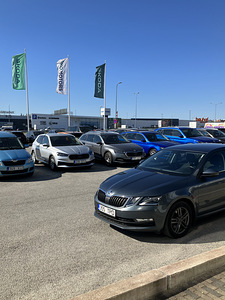 Продам Skoda Octavia 2.0 diisel 4 x 4 (7 фото из 7)