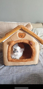 Кошачий домик (2 фото из 2)