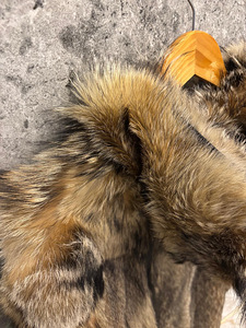 Müüa unikaalne kasukas ehtsast Kanada hundi nahast (3 foto / 8)