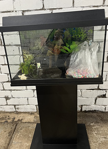 Akvaarium 80l sisustusega (1 foto / 4)