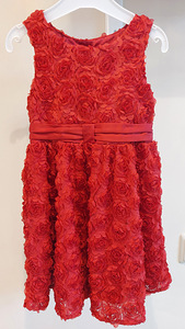 Lindex kleit 5-6 aastasele (3 foto / 7)