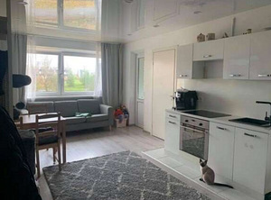 Pallasti tn 43, Lasnamäe, Tallinn, Harjumaa (2 foto / 10)