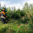 Требуются лесные рабочие - кусторезчики (фото #1)