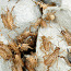 Elusad või külmutatud ritsikad 1000 tk. (foto #1)