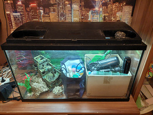 Akvaarium 150L (1 foto / 3)
