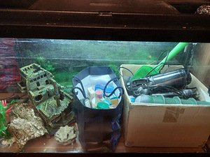 Akvaarium 150L (2 foto / 3)