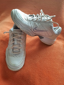 Теннисная обувь Nike 39