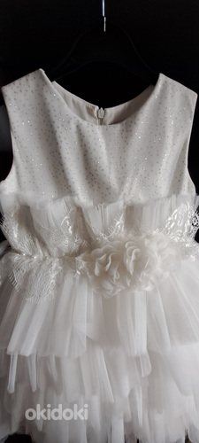 Suurepärane kleit printsessile. Imeilus kleit. (foto #2)
