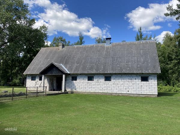 Rannaäärne maja koos maa ja metsaga Saaremaal Vätta ps. (foto #6)