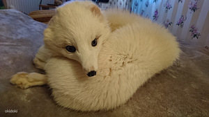 Новый шикарный воротник из белой лисы
