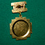 Медаль"Участник ликвидации последствии аварии ЧАЭС" (фото #3)