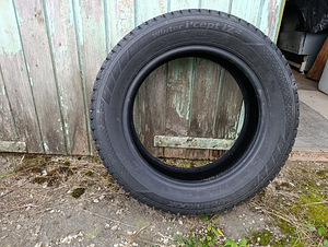 Talverehvid (4 foto / 7)