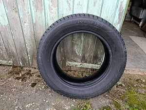 Talverehvid (6 foto / 7)