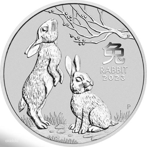 Lunar 1oz Series III Rabbit 2023 (фото #1)