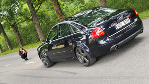 Продается AUDI A6 Sline 4.2 v8 2002a . (5 фото из 10)