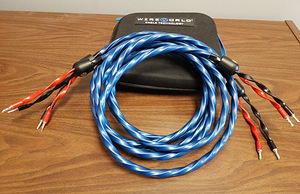 WireWorld OASIS 7 (OAS) kõlarikaabel 2x3.0 m kõlarid (1 foto / 6)