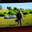 Korralik 43" LG Full HD teler televiisor telekas (foto #2)