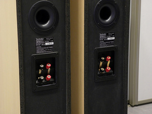 Акустические системы TECHNICS SB-CA21 (5 фото из 6)