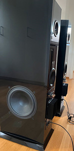 Kvaliteetsed Audio Pro Blue Diamond kõlarid 10" elemendid (3 foto / 4)