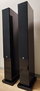 System Audio Saxo 50 kõlarid (9 foto / 10)