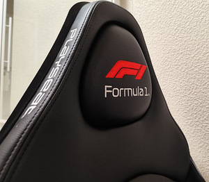 F1 Playseat rallitool ja Logitech rool (7 foto / 7)