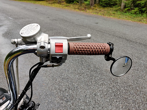 Kawasaki VN15 (6 foto / 10)