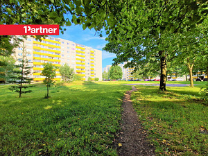 Kivila tn 2, Lasnamäe, Tallinn, Harjumaa (8 foto / 8)
