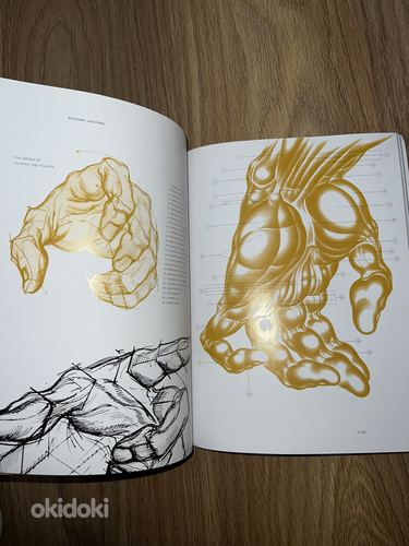Anatoomia kunstnikele "Dünaamiline anatoomia" Burne Hogarth (foto #3)
