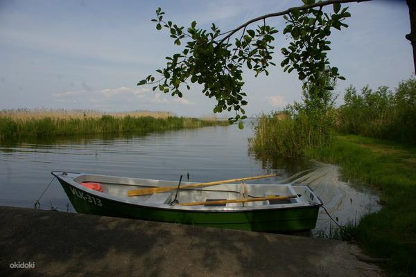 Отдых на Чудском озере (фото #1)