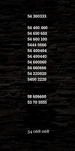 VIP НОМЕР (2 фото из 2)