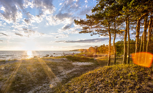 Männimetsa tee 10, Nõmme, Tallinn, Harjumaa (33 foto / 50)