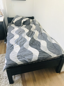 Voodi, puidust, väga pikale, madratsiga (2 foto / 6)