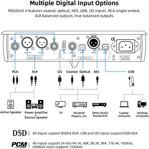 Цифро-аналоговый преобразователь Musician Pegasus II R2R DAC (5 фото из 7)