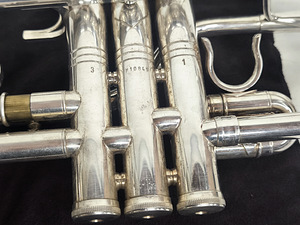 Trompet Weril Regium concert 2 (5 foto / 5)