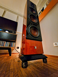 Dali Helicon 800 mk2 kõlarid (5 foto / 5)