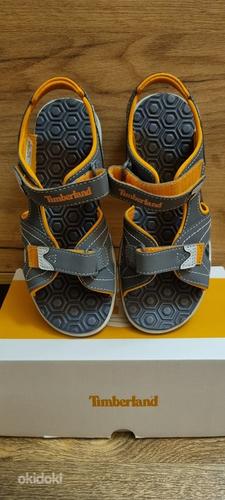Timberlend новые сандали р35 (фото #1)